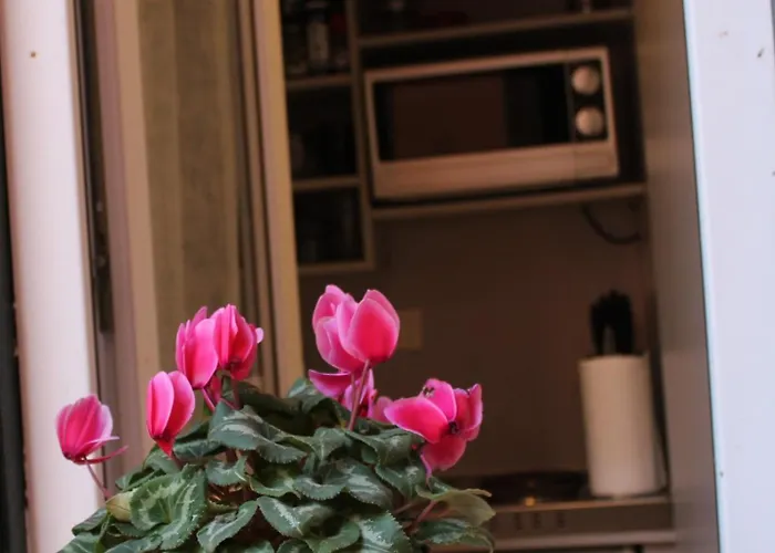 Argilla House 10 Min A Piedi Dal Vaticano Apartamento